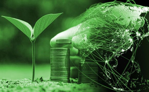 ESG Resilience: Is Green the New Gold?