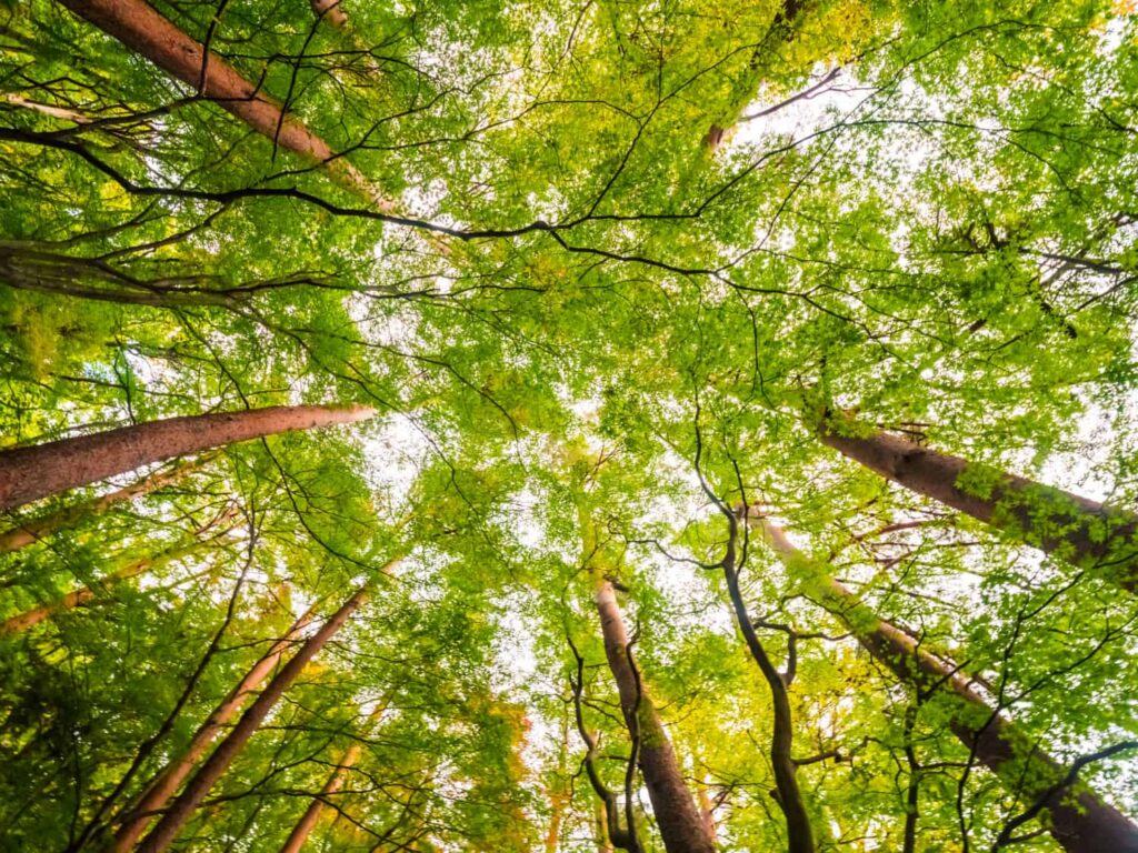 Investing passive enviromental design