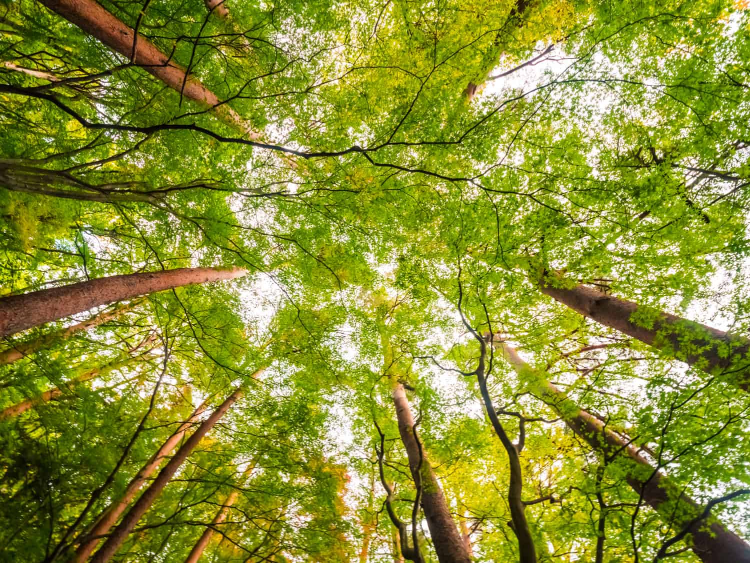 Investing passive enviromental design