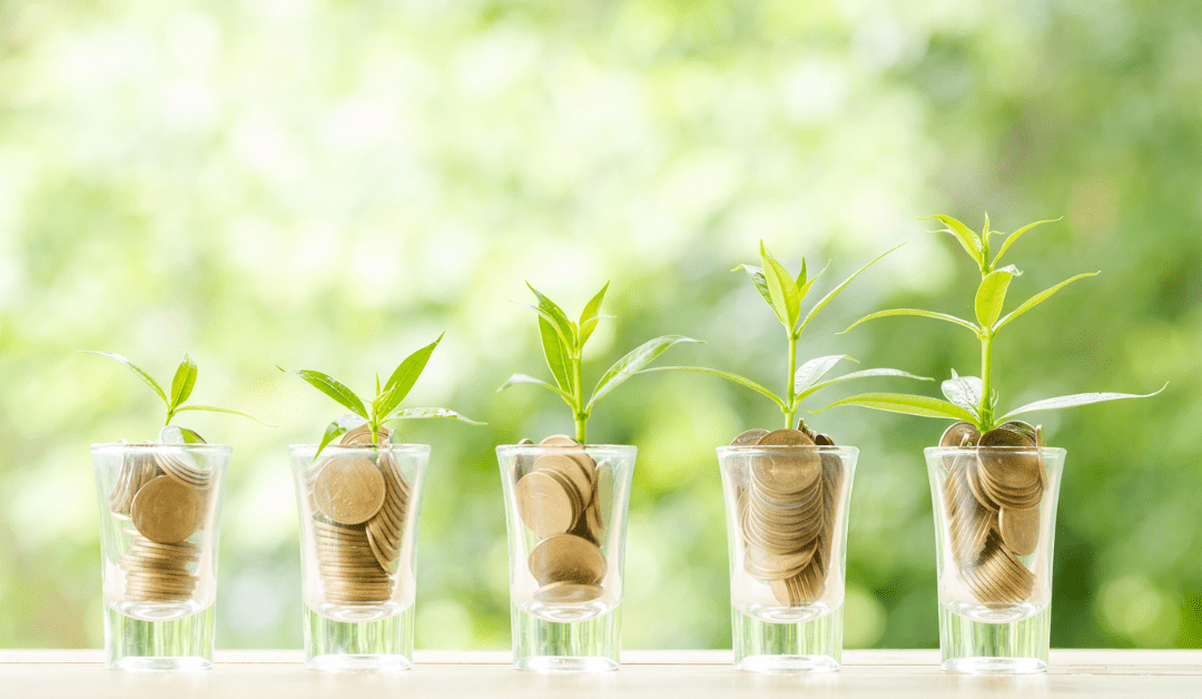 wealth building