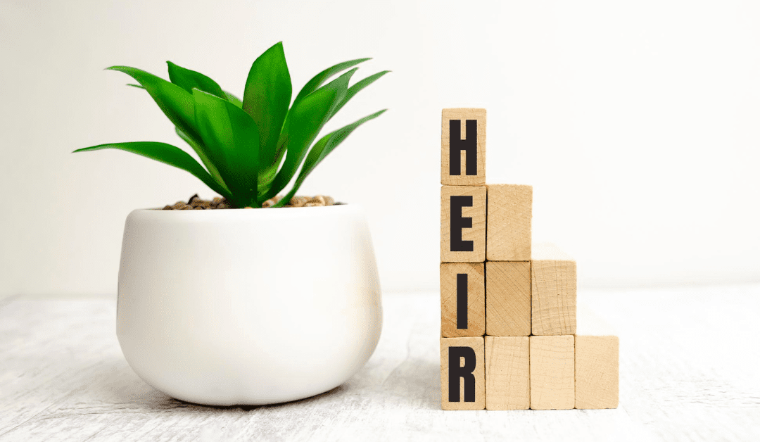The New Heir: Managing Your Inheritance
