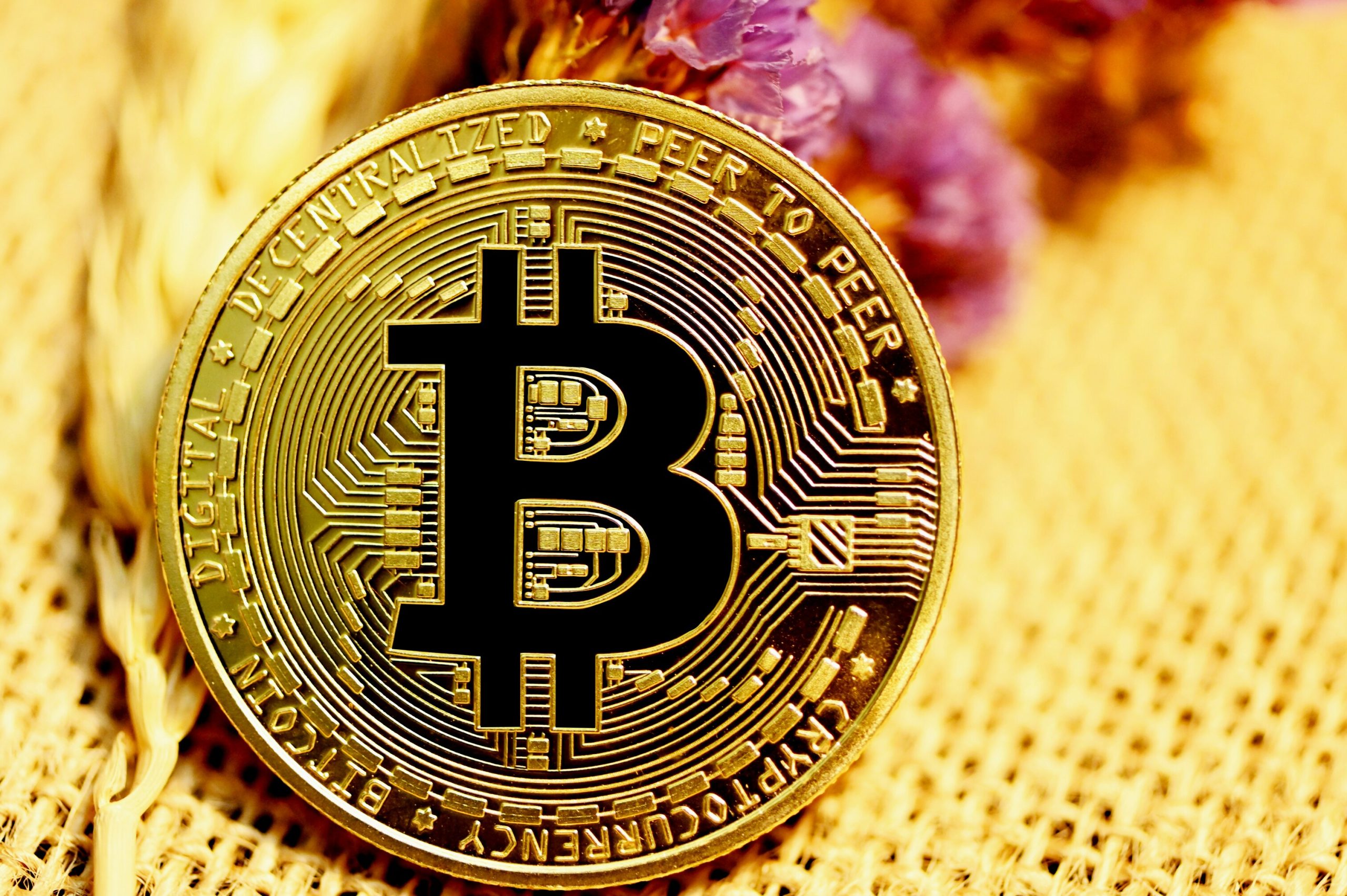 Evaluating Bitcoin as a Store of Value in 2024