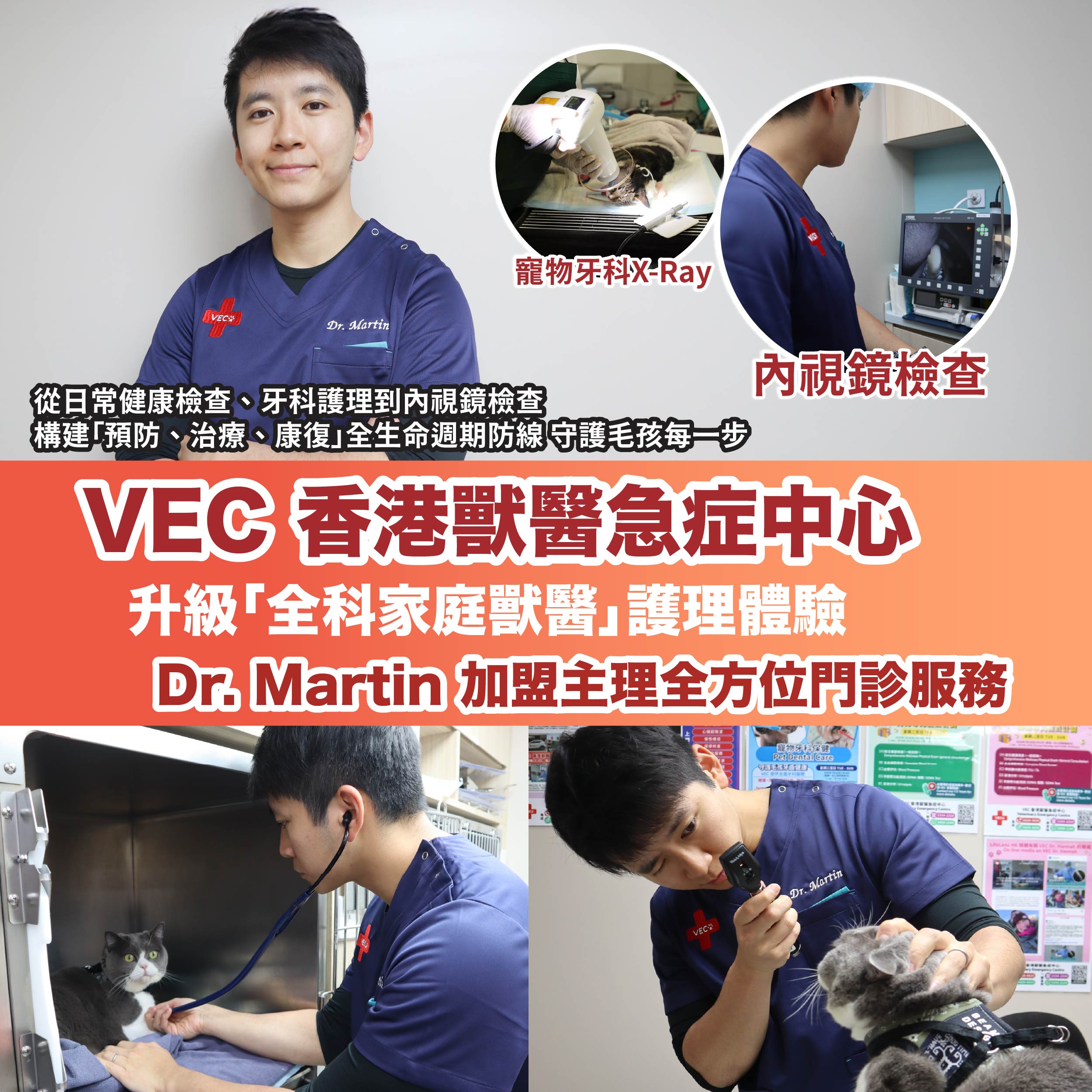 VEC 香港獸醫急症中心升級「全科家庭獸醫」護理體驗 Dr. Martin 加盟主理全方位門診服務