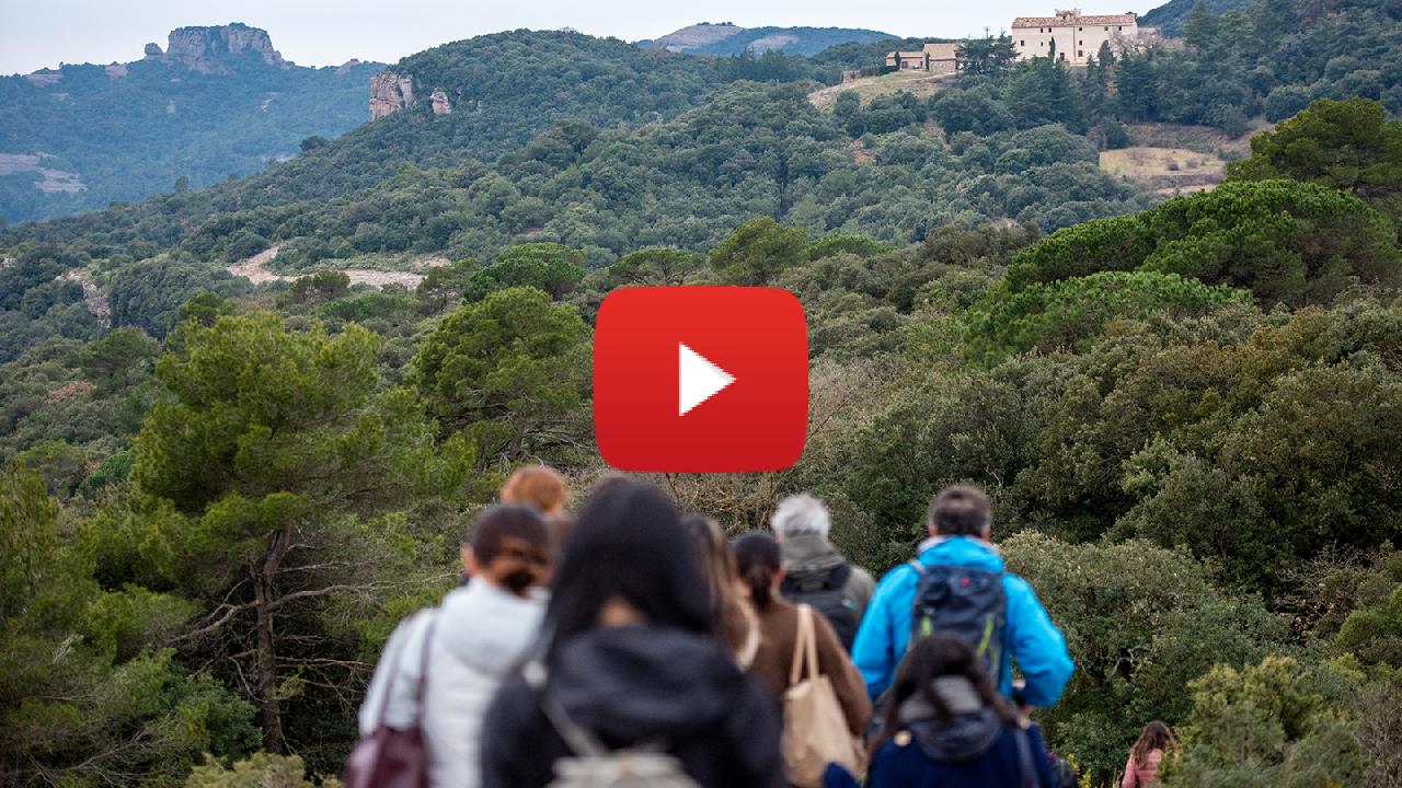 Huawei Highlights Digital Inclusion and Conservation Tech as AI Use Accelerates